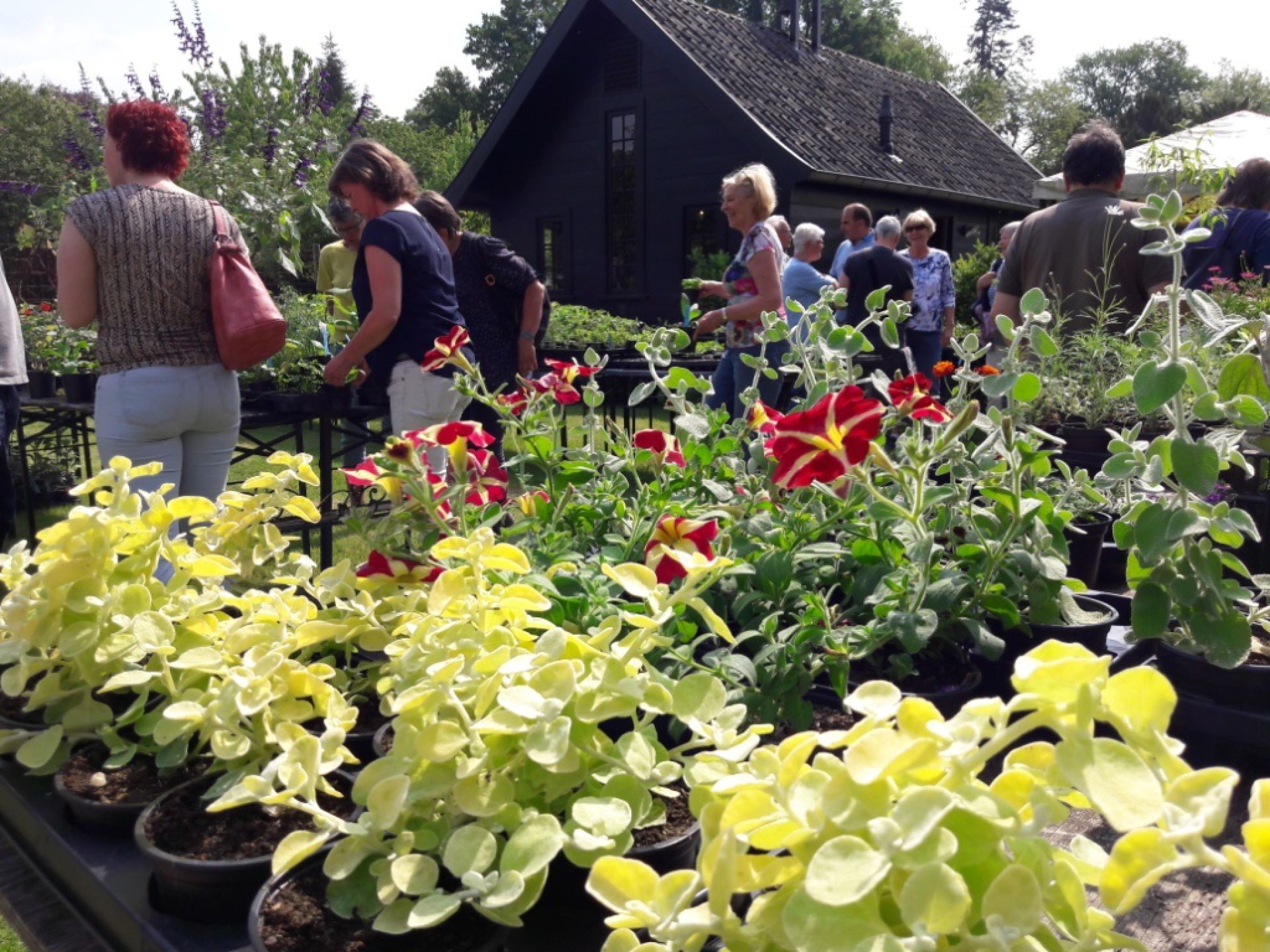 Moederdag plantjesmarkt in moestuin Twickel