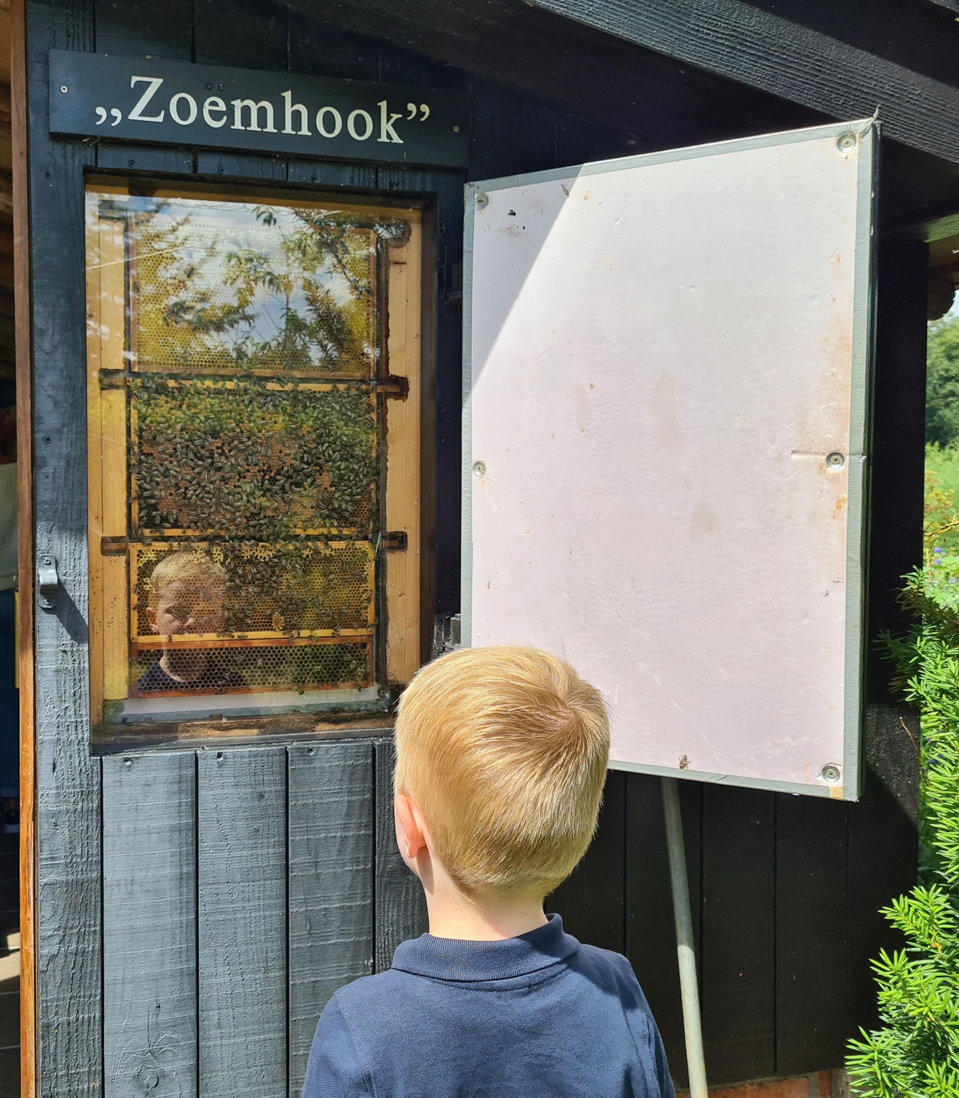 Open Imkerijdag in moestuin van Twickel