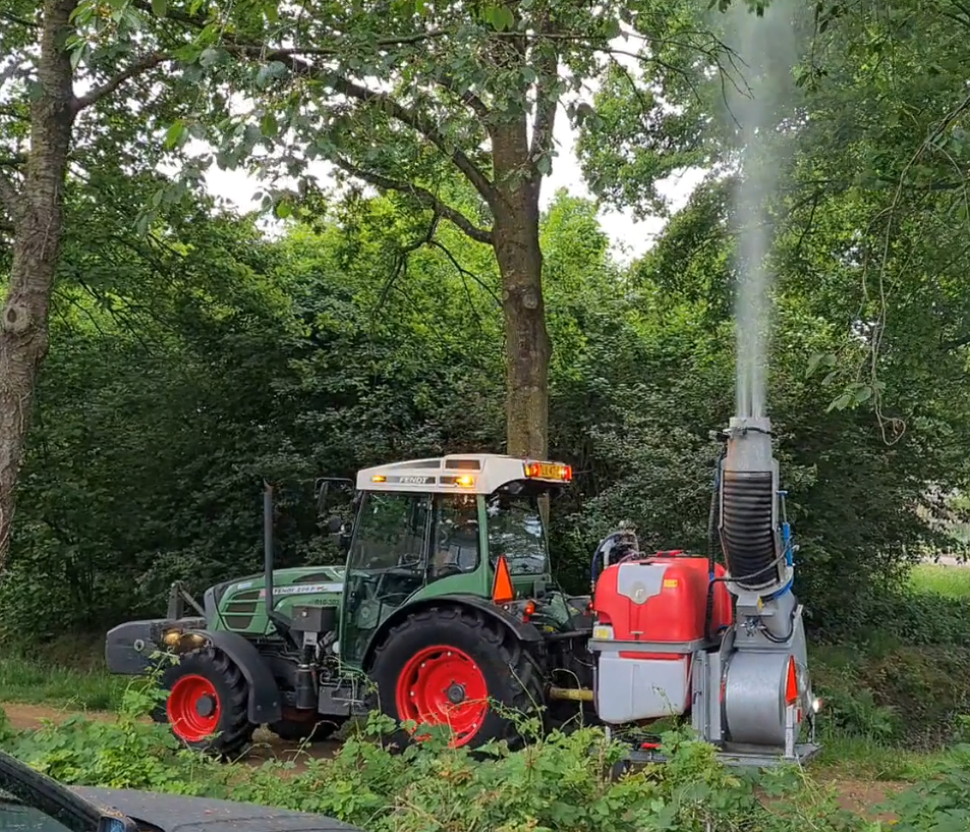 Video: Gemeente dient processierups genadeklap toe op drie locaties in Delden