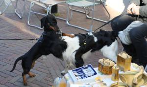 Koningsdag Delden 2022