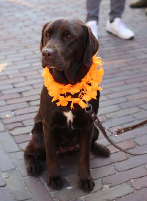 Koningsdag Delden 2022