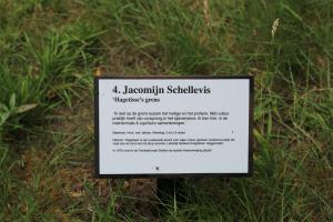 Opening van de beeldenexpositie Kunststation Delden