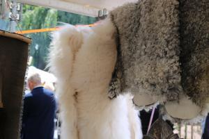 Hemelvaartsfeest Delden 2022