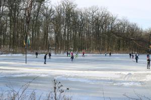 Schaatspret op natuurijsbaan Twickel bij Delden