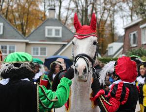Intocht Sinterklaas Delden 2023