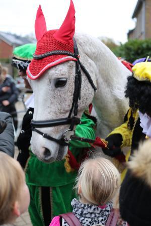 Sinterklaasintocht Delden 2022