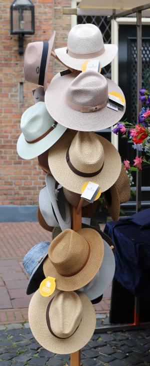 Straatfestival en Kleurrijk in de Hof