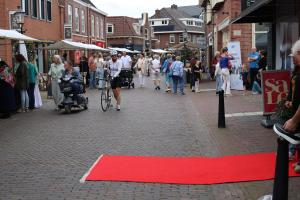 Straatfestival en Kleurrijk in de Hof