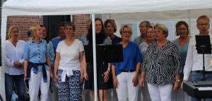 Straatfestival en Kleurrijk in de Hof