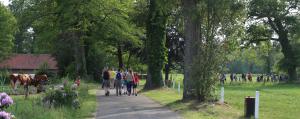 Start Avond4daagse Delden 2023