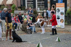 Straatfestival Delden 2023