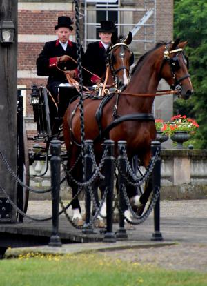 Twickel rijdt uit