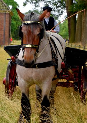 Twickel rijdt uit