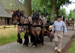 Twickel rijdt uit