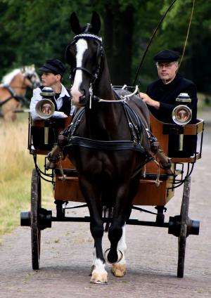 Twickel rijdt uit