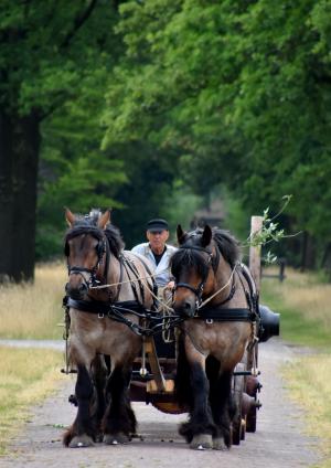 Twickel rijdt uit