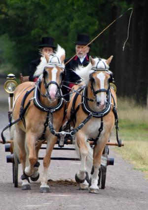 Twickel rijdt uit