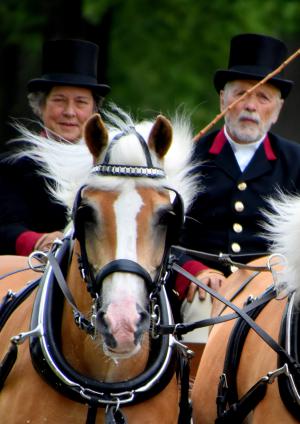 Twickel rijdt uit
