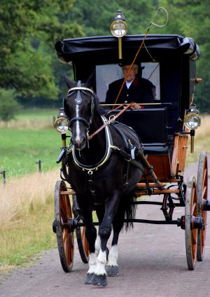 Twickel rijdt uit