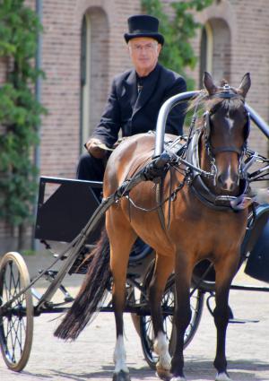 Twickel rijdt uit (deel 2)