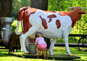 Kinderspeelmiddag Wendezoele 2025