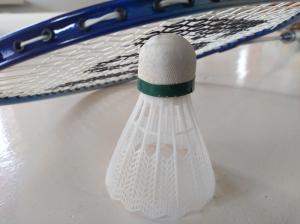 Badminton Club Delden