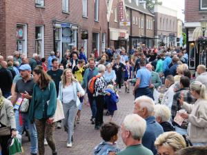 Intocht Wanelvierdaagse Delden 2024