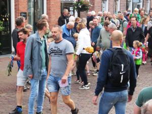 Intocht Wanelvierdaagse Delden 2024