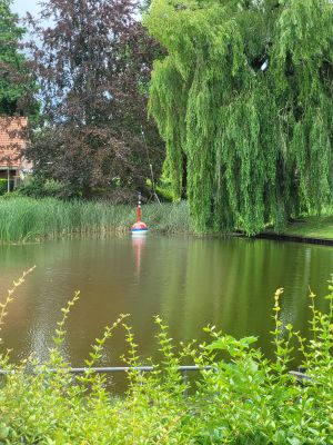 &lsquo;Vergeten dobber&rsquo; teruggeplaatst in Polvijver Delden