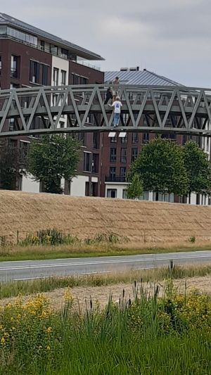 Gevaarlijke situaties door klimmen op voetgangersbrug