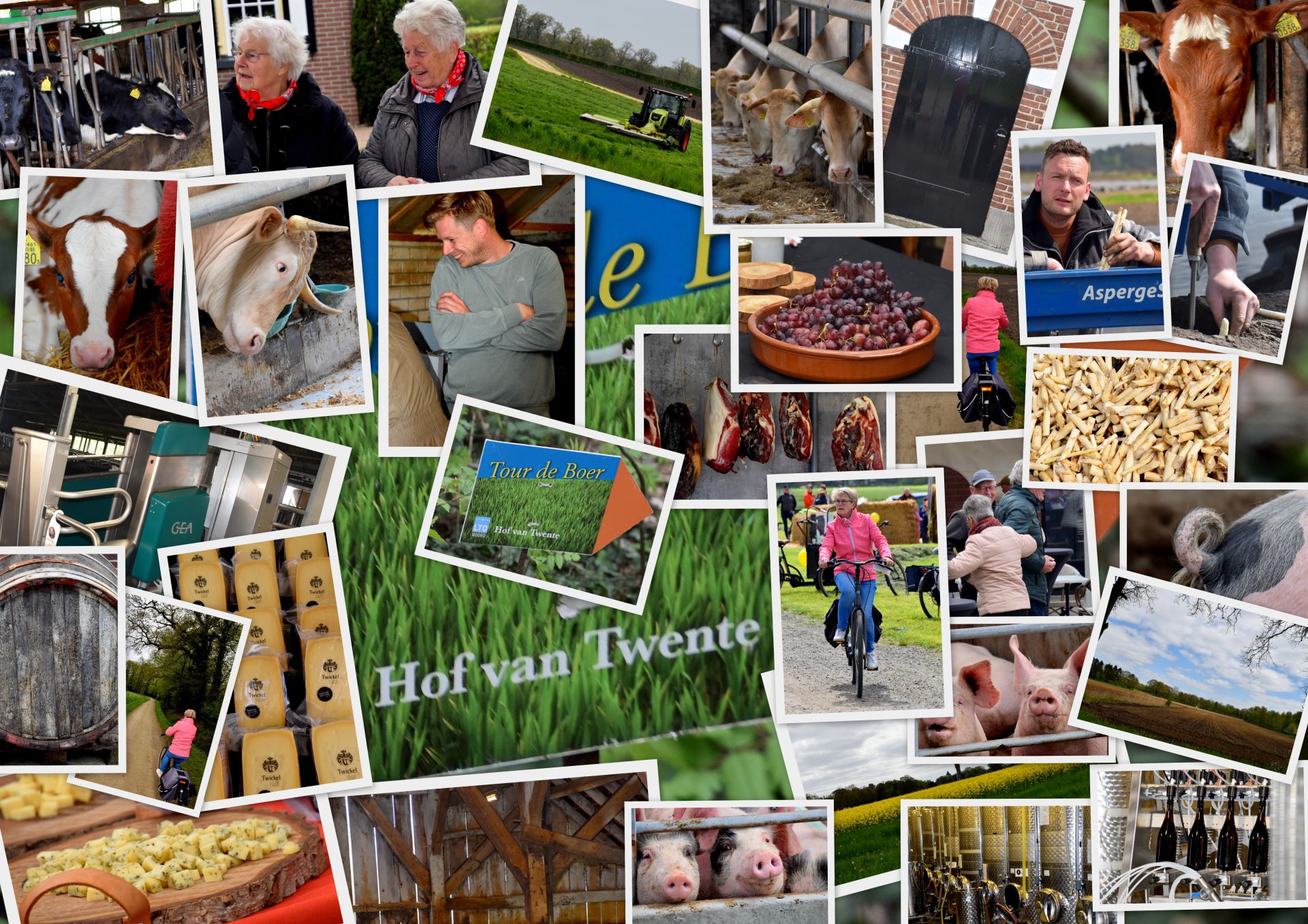 Populaire Tour de Boer in omgeving Delden in beeld